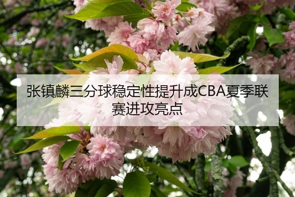 zhang-zhen-lin-san-fen-qiu-wen-ding-xing-ti-sheng-cheng-xia-ji-lian-sai-jin-gong-liang-dian-3-282.jpg