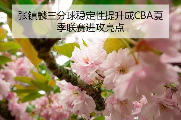 张镇麟三分球稳定性提升成CBA夏季联赛进攻亮点