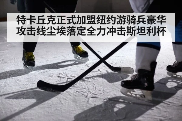 特卡丘克正式加盟纽约游骑兵豪华攻击线尘埃落定全力冲击斯坦利杯